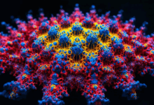 个性化分析报告如何导出为PPT?-Raccoon