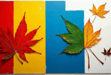 个性化数据分析的实时报告？-Raccoon