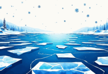 知识管理如何优化企业危机管理？-Raccoon