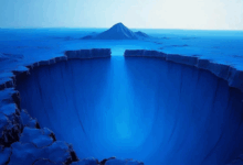 信息检索的相关性反馈如何利用？-Raccoon