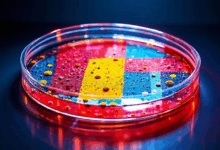 知识库搜索的分布式架构？-Raccoon