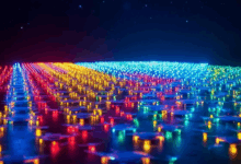 私有知识库的入侵检测系统-Raccoon