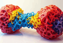 知识检索中的多模态搜索技术？-Raccoon