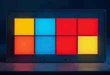 个性化计划生成的工具推荐？-Raccoon