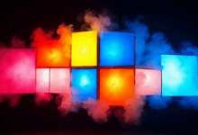 个性化生成计划如何动态调整？-Raccoon