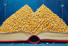 AI知识库如何支持多语言文档检索？-Raccoon