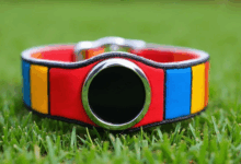 知识管理中的权限设置如何优化？-Raccoon