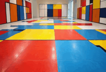 个性化方案生成有哪些实用工具？-Raccoon