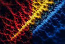 个性化分析的用户反馈循环？-Raccoon