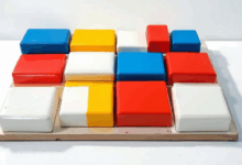 个性化计划生成需要哪些输入数据？-Raccoon