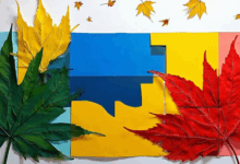 文档分类的机器学习模型有哪些？-Raccoon