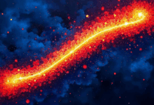 整合多源数据的知识库工具有哪些推荐？-Raccoon