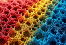 私有知识库如何控制访问日志？-Raccoon