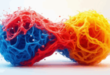 个性化数据分析在金融行业的应用-Raccoon