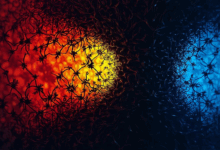 知识检索如何支持语义相似度？-Raccoon