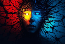 知识管理系统的用户权限如何设计？-Raccoon