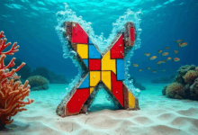 知识管理如何建立知识共享文化?-Raccoon