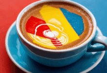 私密知识库的权限管理如何设置？-Raccoon