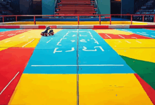 个性化计划生成如何动态调整方案?-Raccoon