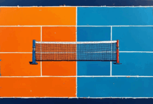 知识管理如何提升客户忠诚度？-Raccoon