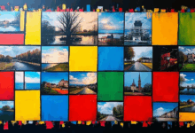 如何通过整合文档降低风险？-Raccoon