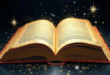 私有知识库如何支持创业团队快速成长-Raccoon