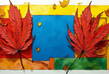 知识管理系统的成本效益分析？-Raccoon