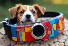 个性化生成内容的质量评估标准？-Raccoon