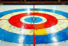 AI智能分析的模型部署后的运维管理-Raccoon