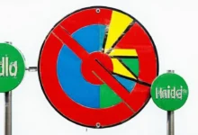 AI 关键要素提取的手机端工具推荐-Raccoon