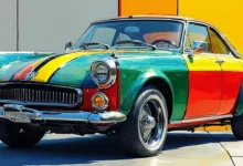 AI 修正语法错误的教育行业词典添加-Raccoon