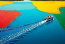 个性化方案生成的客户需求匹配技巧-Raccoon