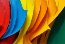 宠物用品文案的 AI 写作素材推荐工具-Raccoon