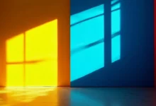 数据关键信息的检索算法优化技巧-Raccoon