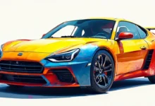 数据统计网站的数据导出格式和方法-Raccoon