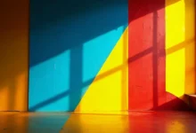 物流行业数据的 AI 分析信息技巧-Raccoon