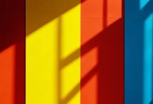 数据需求分析的工具和软件推荐-Raccoon