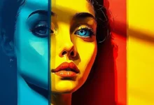 商务智能分析在跨境电商运营中的应用-Raccoon