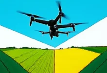 BI 报告的存档和检索管理方法-Raccoon