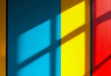 AI 写作灵感如何结合科技热点-Raccoon