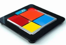 中英双语文本的 AI 摘要质量对比-Raccoon