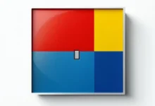 实时数据分析在电商直播中的应用-Raccoon