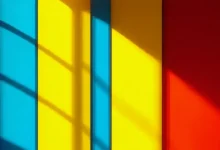 文档资产管理的流程优化工具-Raccoon