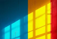 个性化方案生成的快速原型设计方法-Raccoon