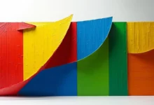 个人知识库的内容去重策略与工具-Raccoon