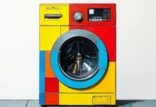 数据科学与分析的常用工具和技术栈-Raccoon