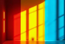 AI 文章生成的电脑端软件排行-Raccoon