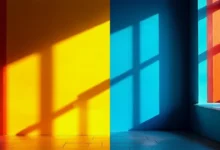 绘画培训机构 AI 定方案的课程设计优化-Raccoon