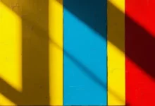 多语种美妆文案的 AI 拼写工具-Raccoon