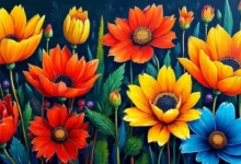 知识库与数据库的区别 企业数据管理如何选择-Raccoon